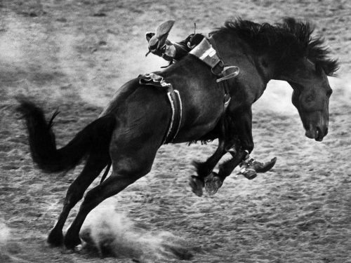 Bucking Bronco, a photograph by Brian Lanker